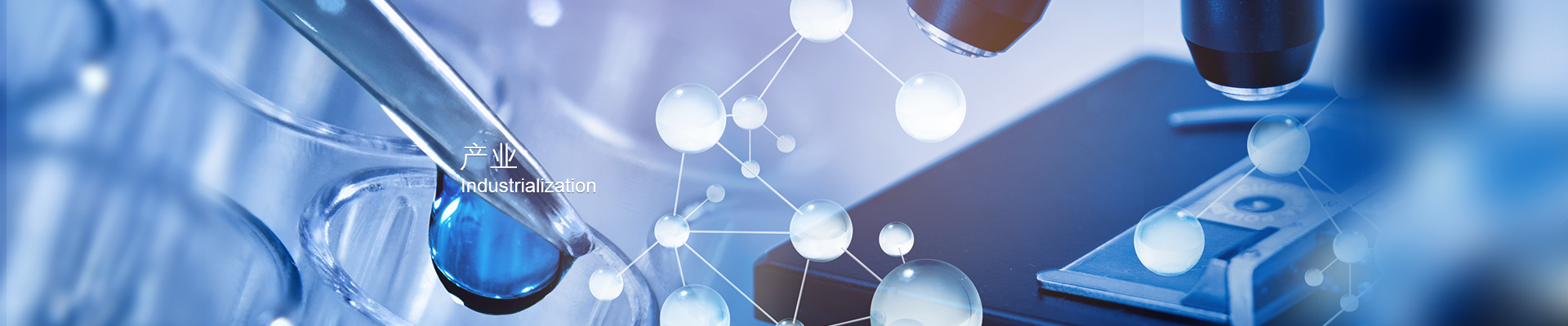 rb88随行版_官网官网入口